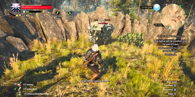 The Witcher Insulting An Earth Elemental