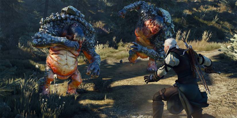 Witcher 3 Free Combat