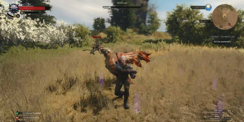 Witcher 3 The White Lady