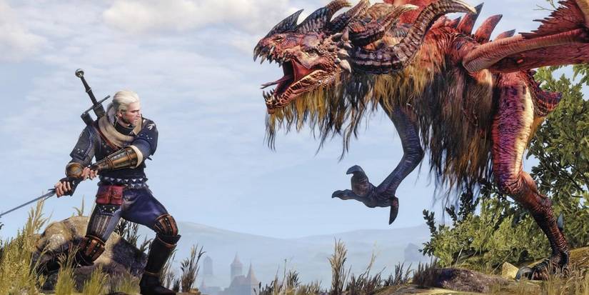 Witcher 3 Total Immersion