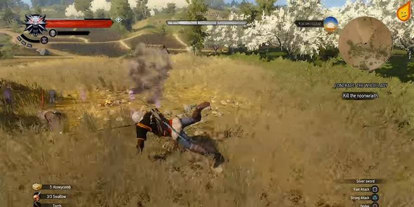 Witcher 3 White Lady