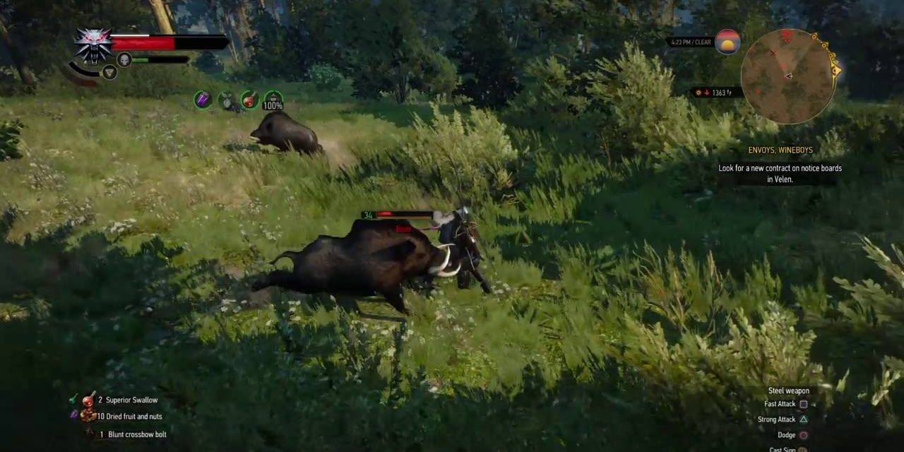 Witcher 3 Wild boar