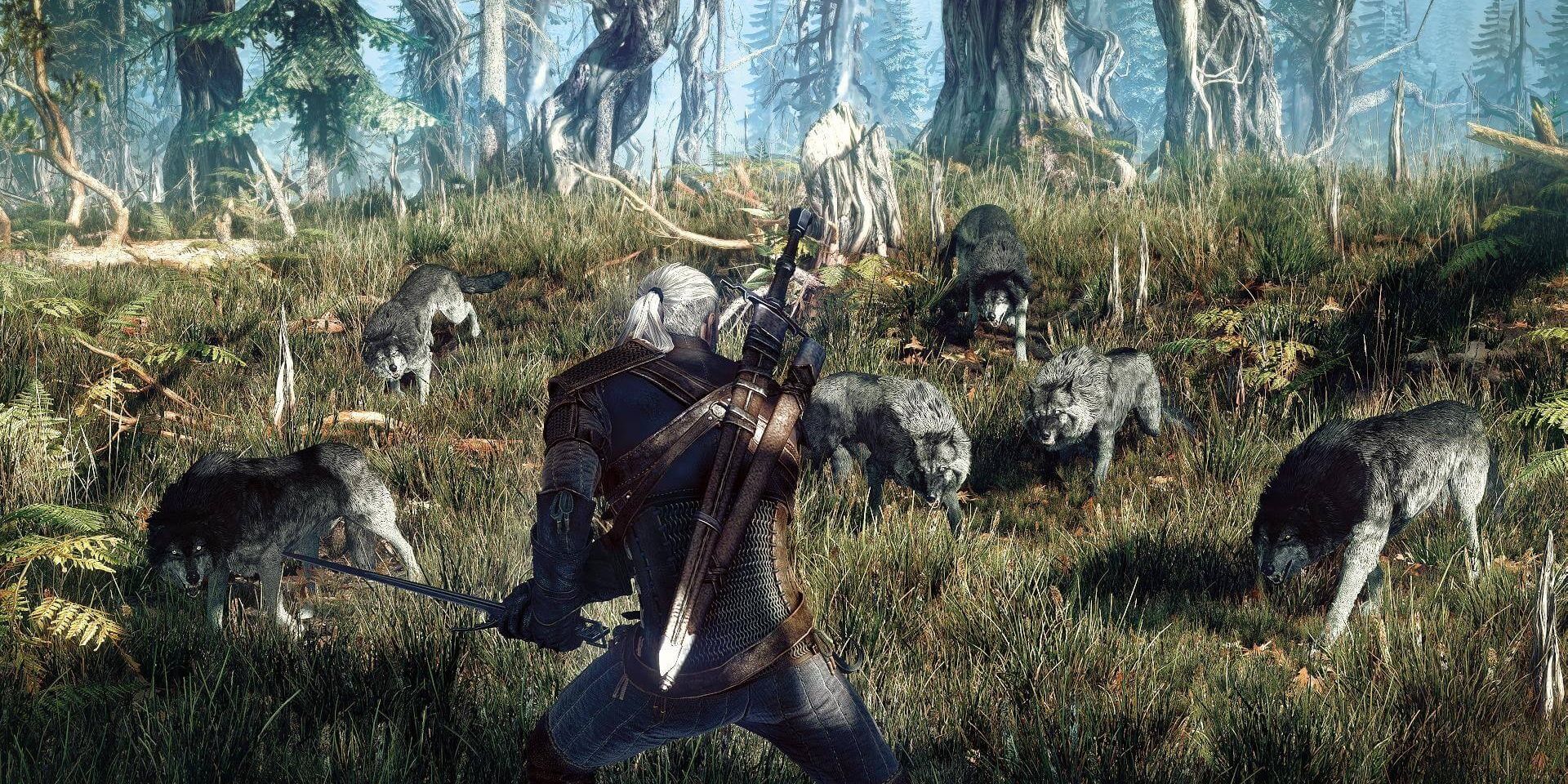 Witcher 3 Wolf