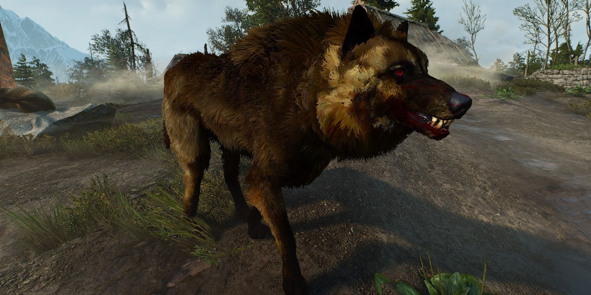 Witcher 3 dog