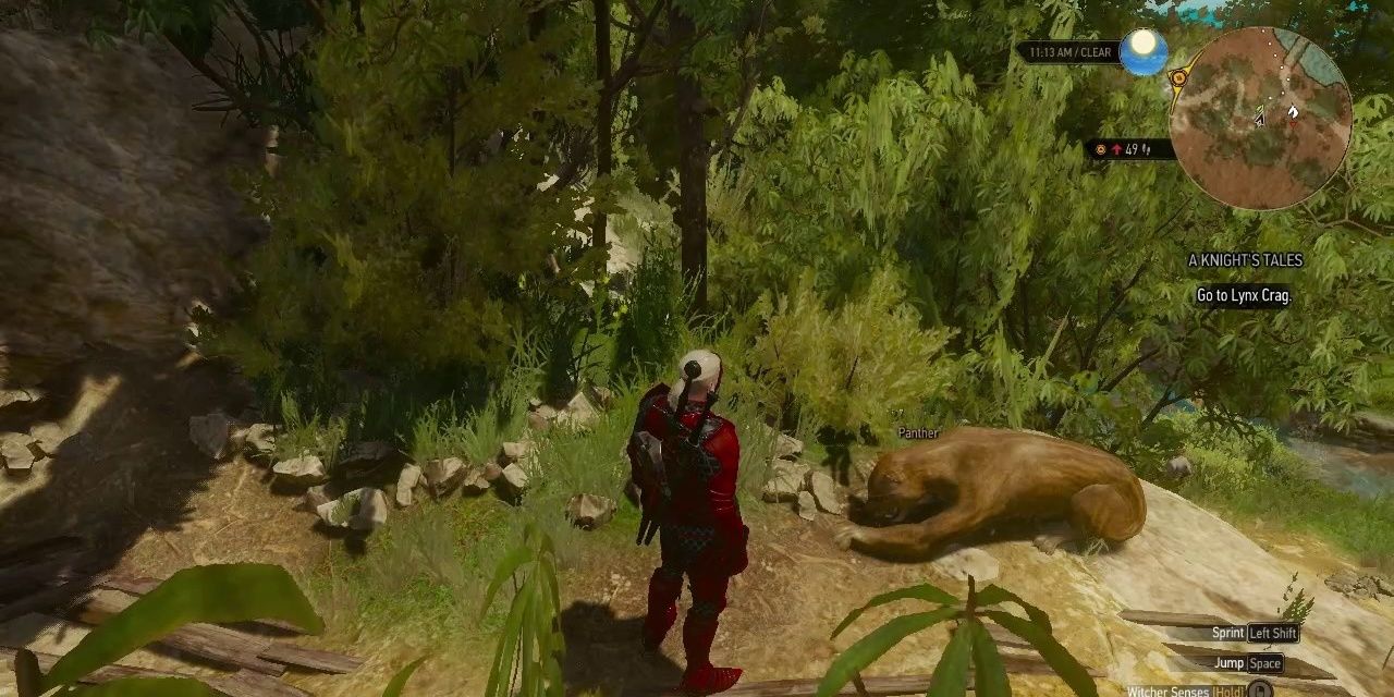 Witcher 3 panther