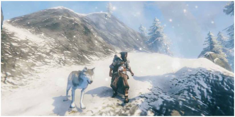Wolf Tamed Valheim
