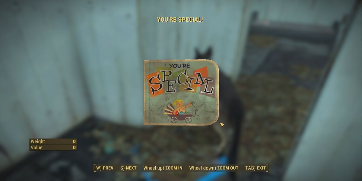 Fallout 4 - You're Special book