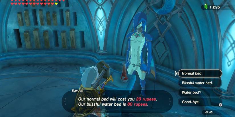 Link speaking to Zora Domain's Innkeeper