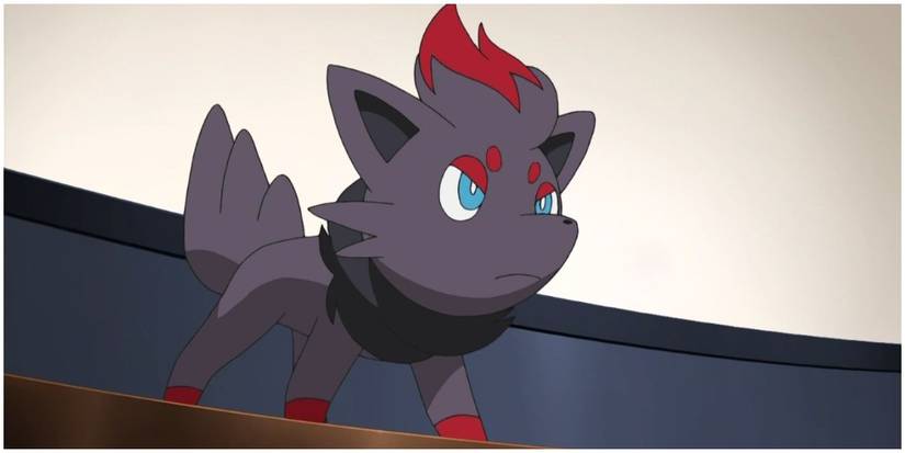 Zorua