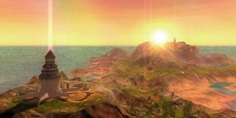 black and white lionhead