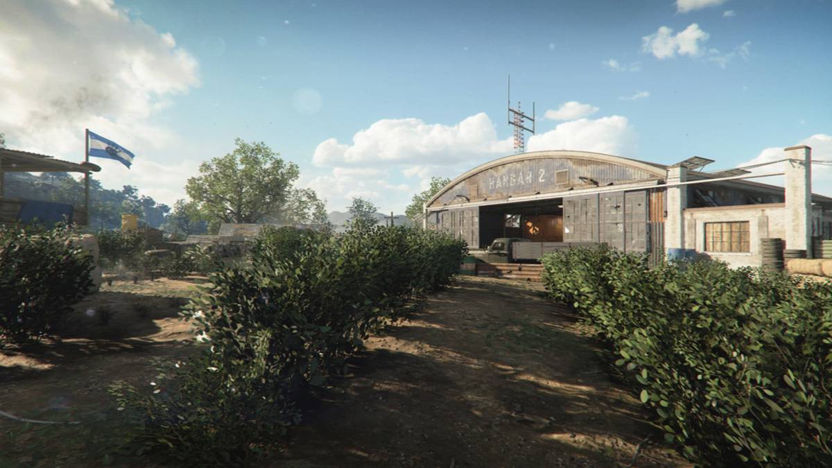 bushes on cod black ops cold war cartel map