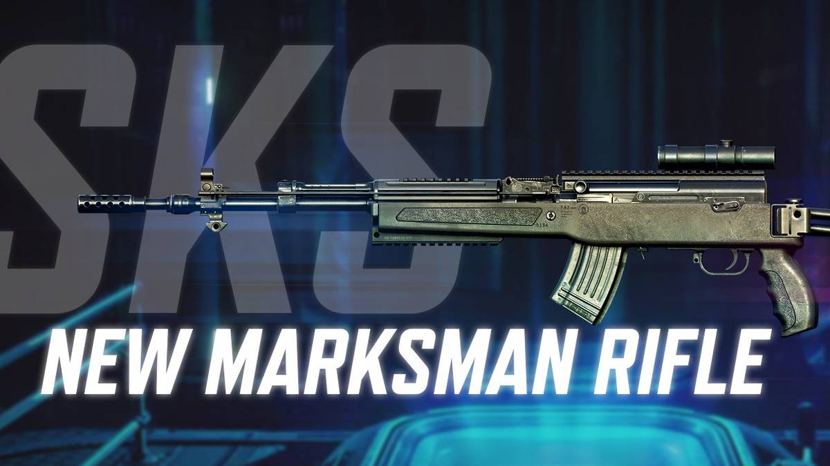 call of duty mobile rifle sks