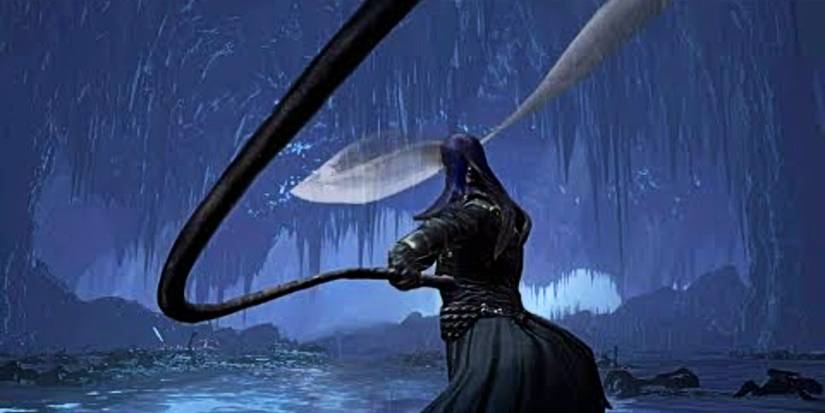 the basic whip used by a player showcasing its reach towards the camera.