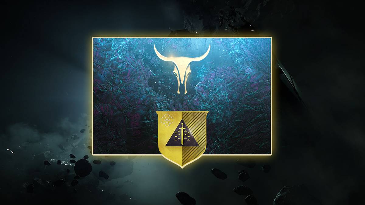 tex mechanica chosen