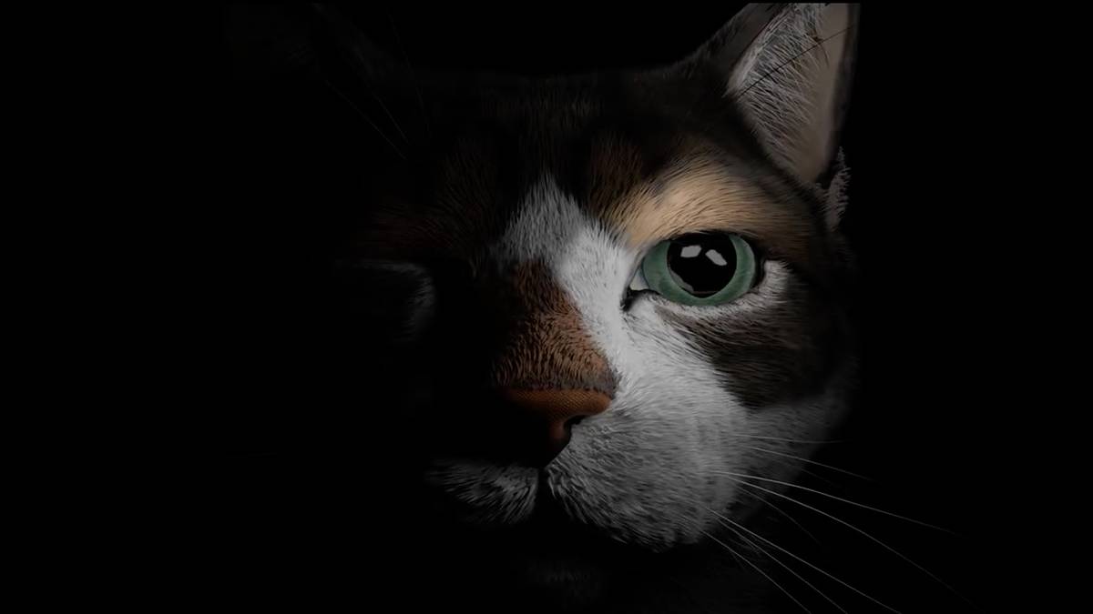 Etched Memories Biscuit