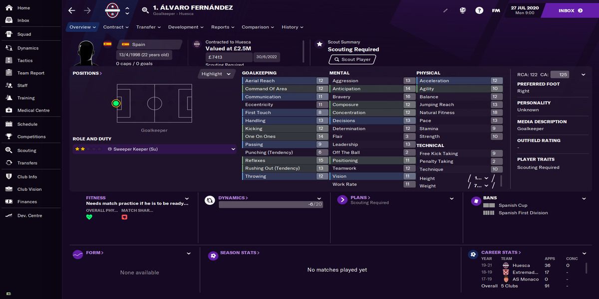 Football Manager 21 - Fernandez profile