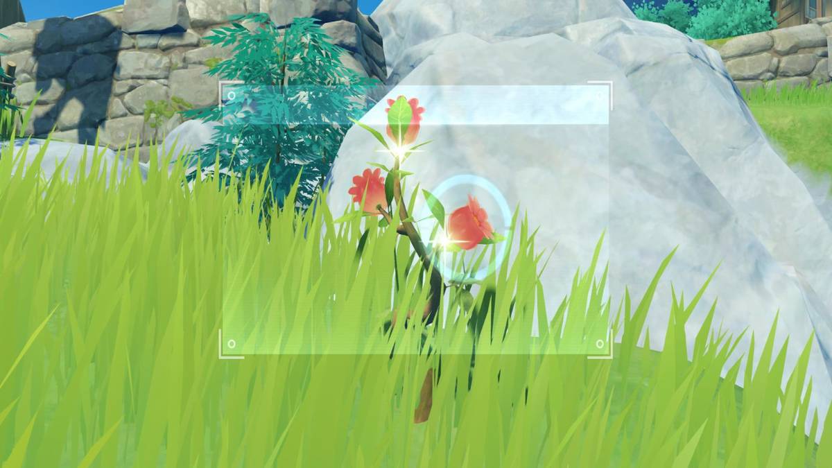 genshin impact red photo