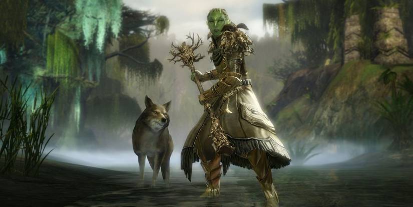 gw2 druid