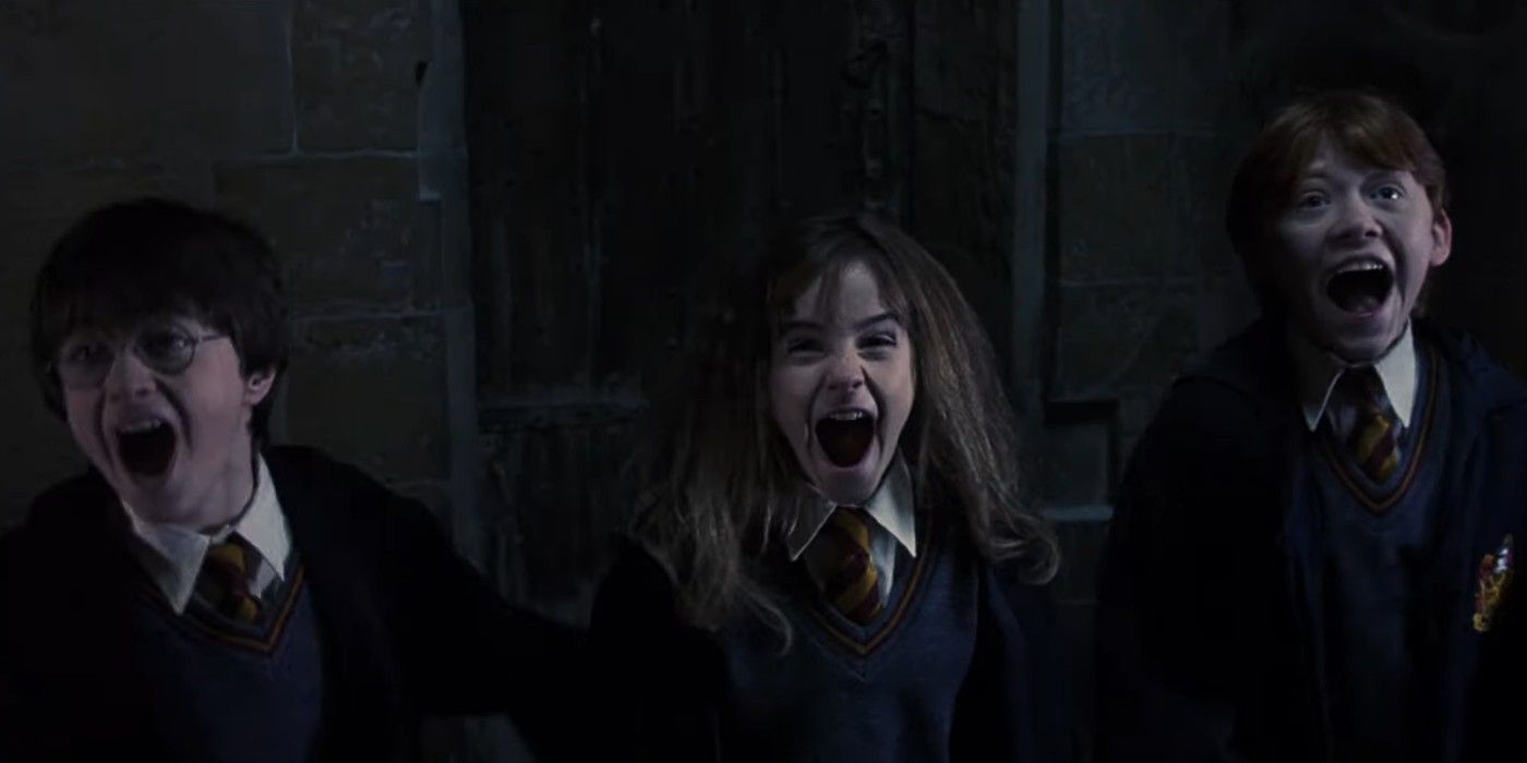 Harry Potter, Ron, and Hermione screaming at a big puppy