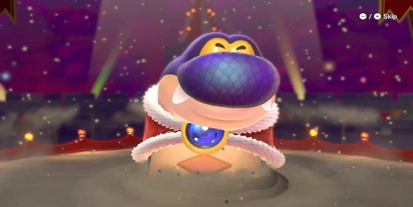 hisstocrat mario 3d world switch