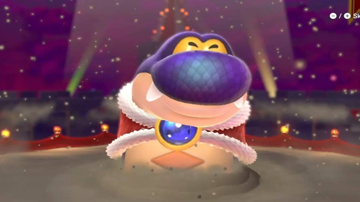 hisstocrat mario 3d world switch