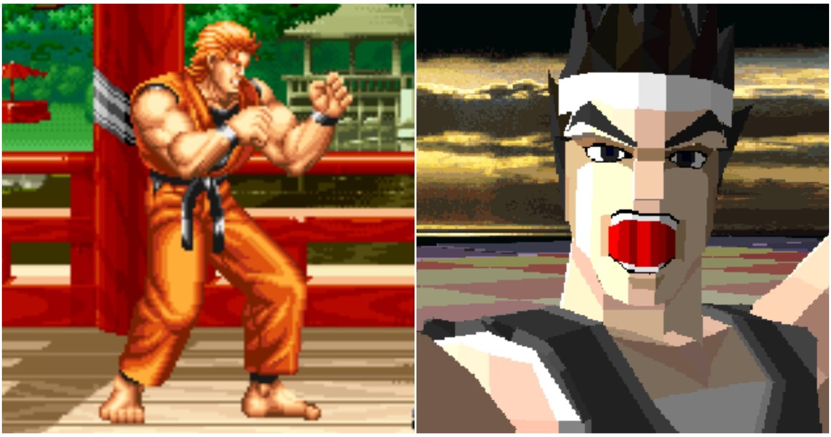 art of fighting and virtua fighter