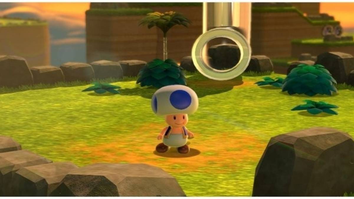 super mario 3d world bowser's fury