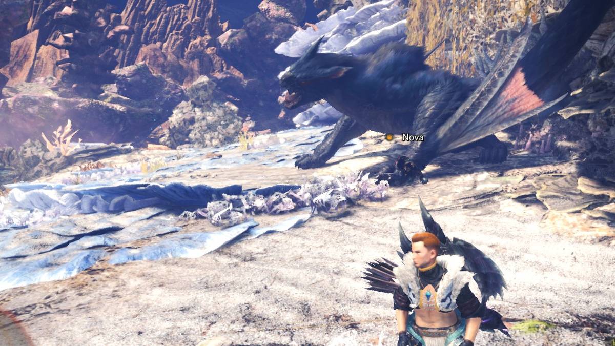 nargacuga in coral highlands