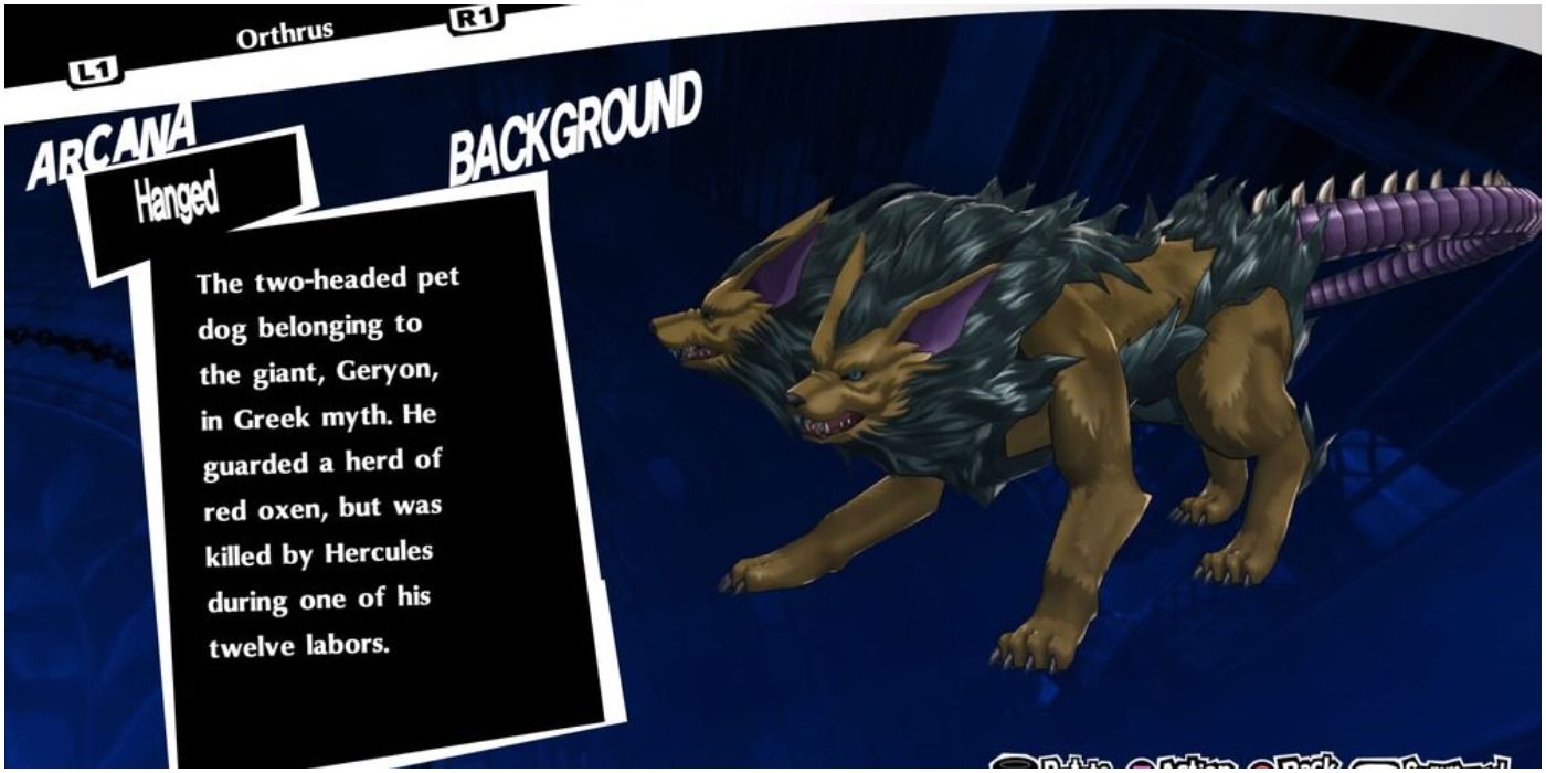 the two headed dog in greek mythology in the hanged man arcana.