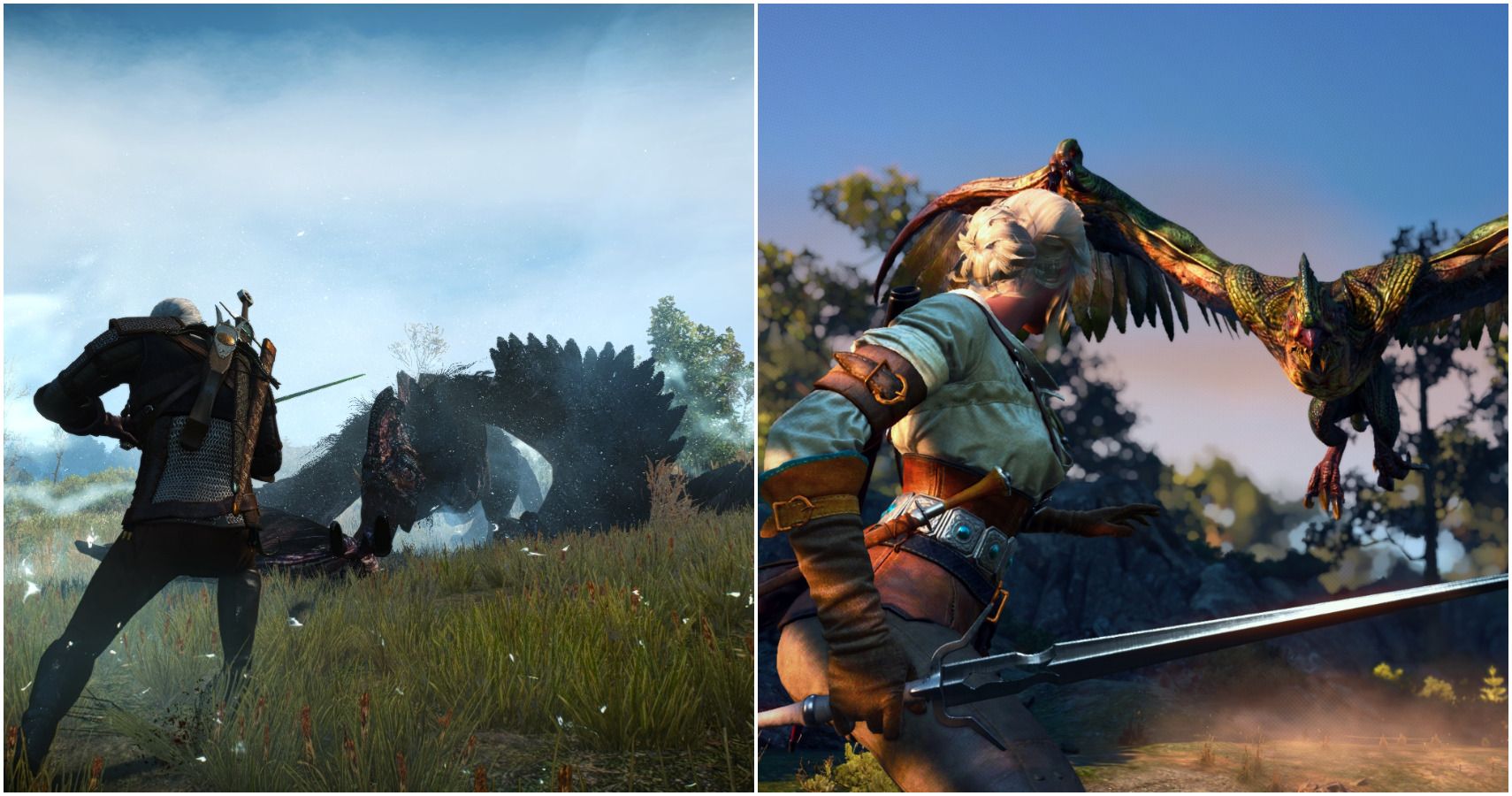 The Witcher 3 draconid feature