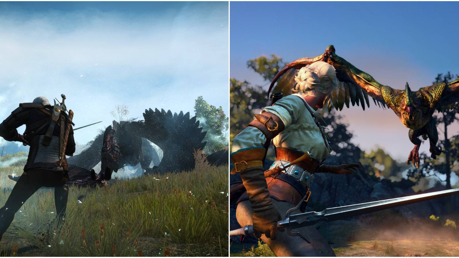 The Witcher 3 draconid feature