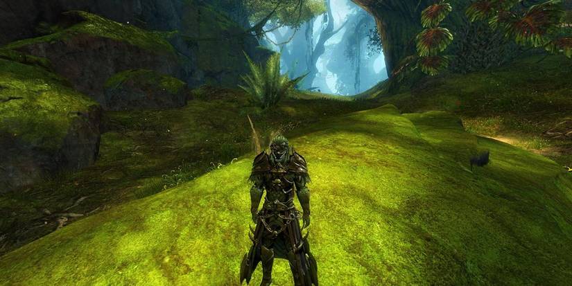 ranger gw2 character