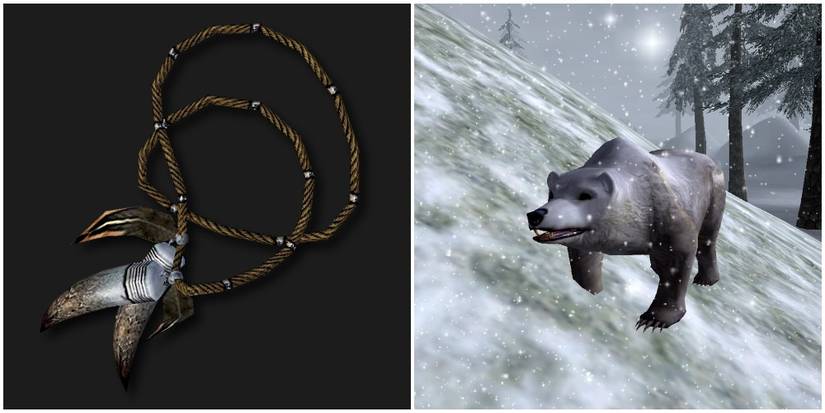 the Totem of Claw and Fang and the Spirit Bear