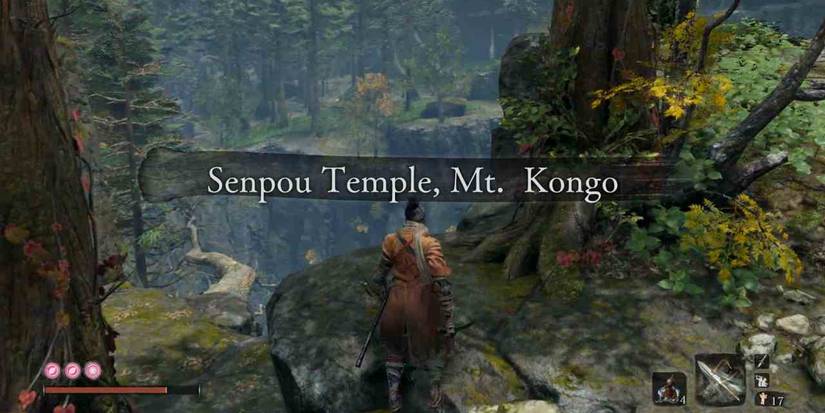 player entering the mountain area.