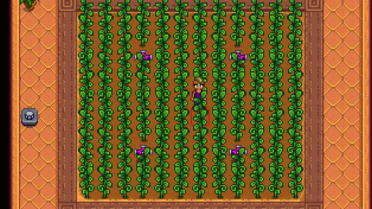 ancient fruit plants