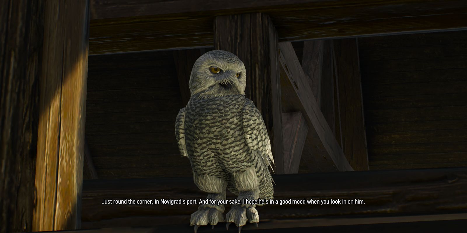 white snowy owl in a the witcher 3 mission.