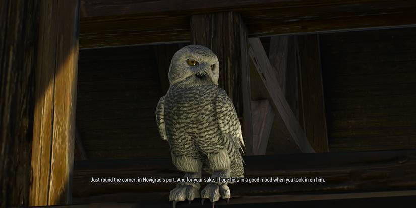 white snowy owl in a the witcher 3 mission.