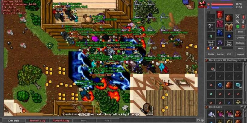 tibia online exterior screenshot with UI