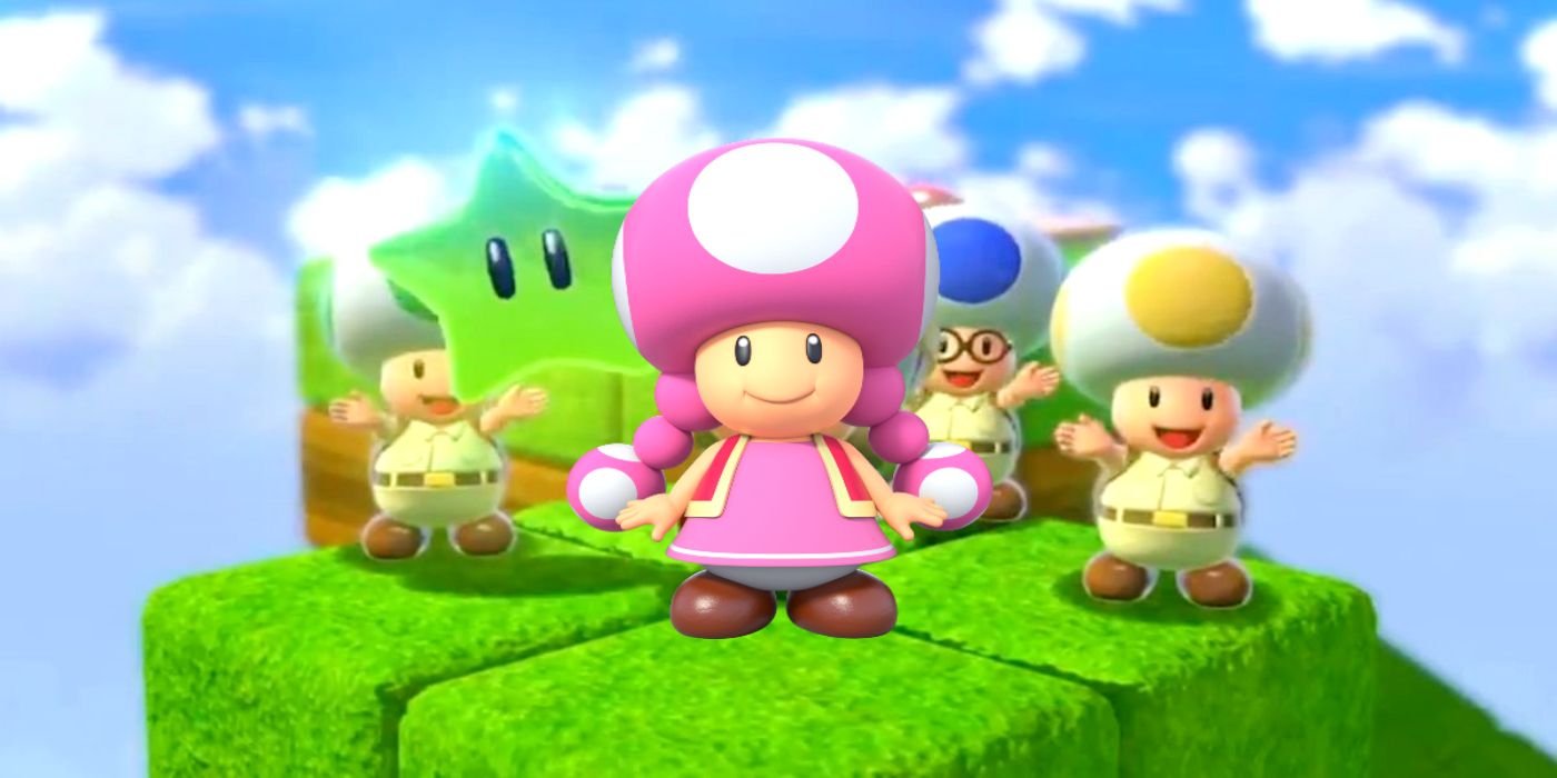 toadette with toads