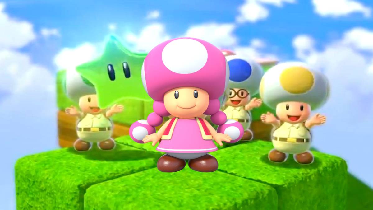 toadette with toads