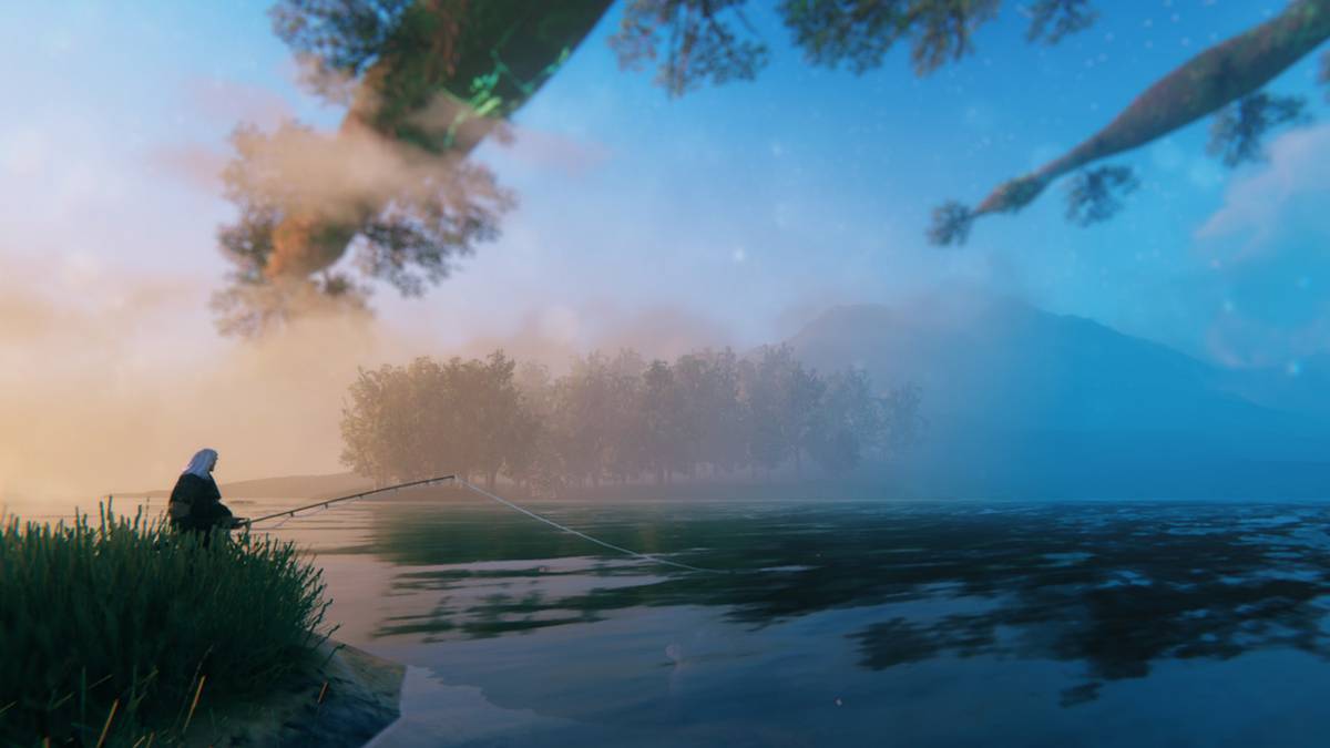 valheim what are coins for