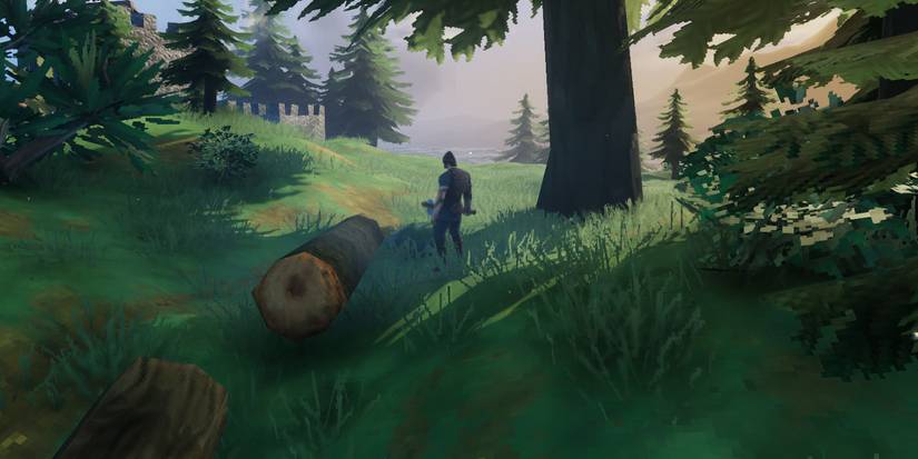 Valheim: Best Locations For A Base & Why To Build There