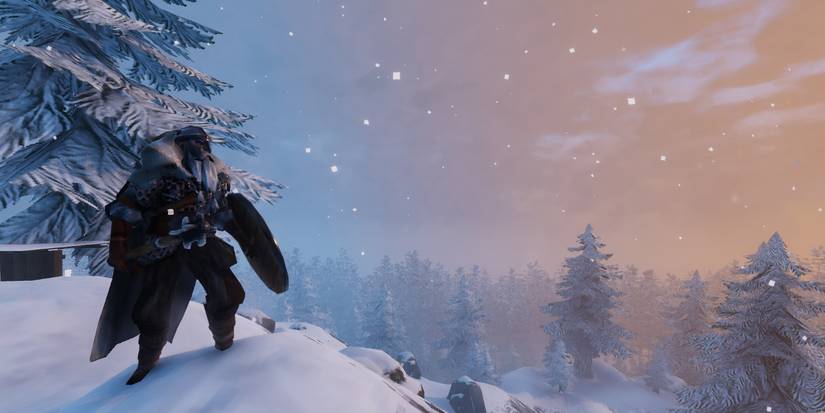 valheim stop freezing