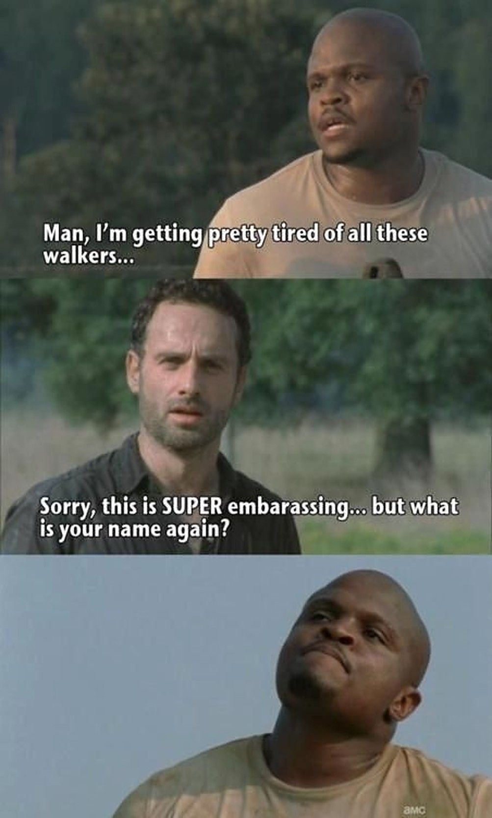 walking dead meme