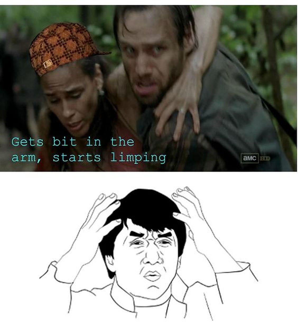 walking dead meme