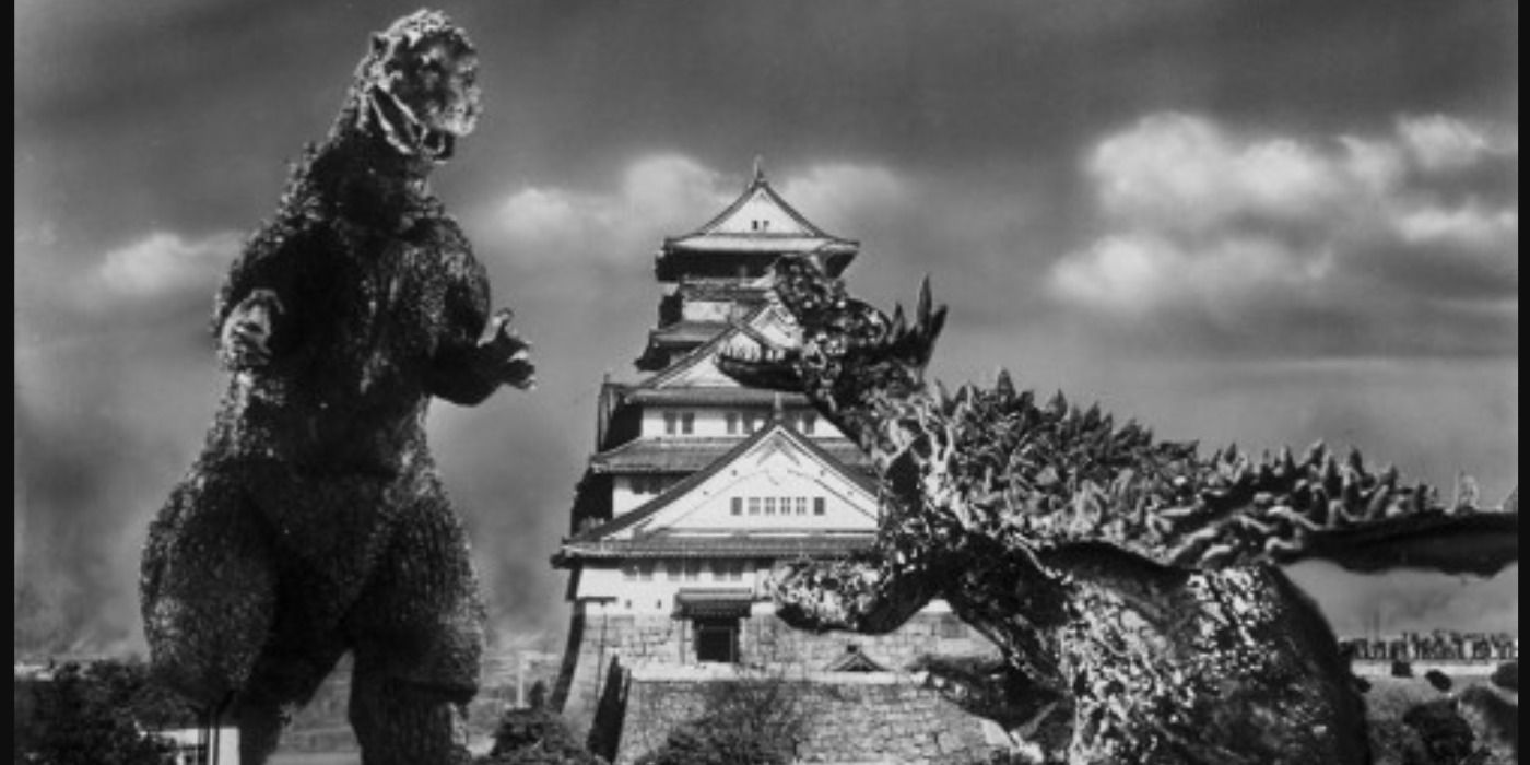 10 Godzilla Fights Godzilla vs. Anguirus