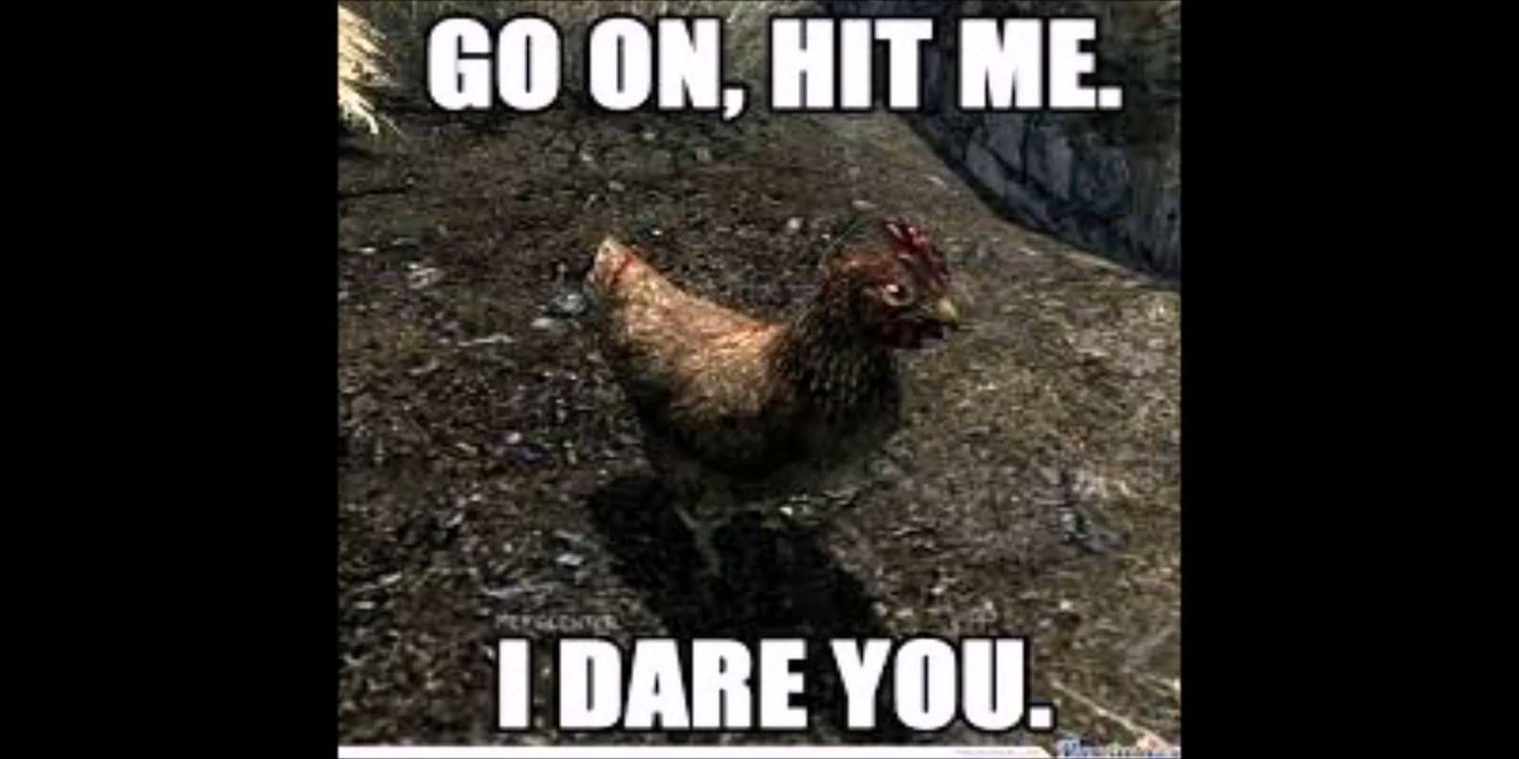 10 Skyrim NPC Memes Chicken