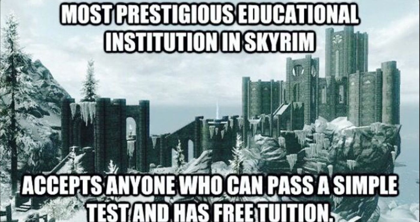 10 Skyrim NPC Memes College of Winterhold