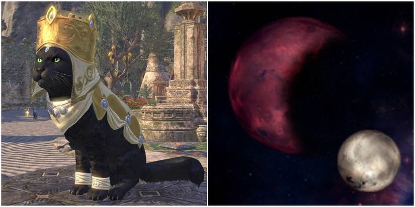 10 Types of Khajiit Alfiq The Elder Scrolls