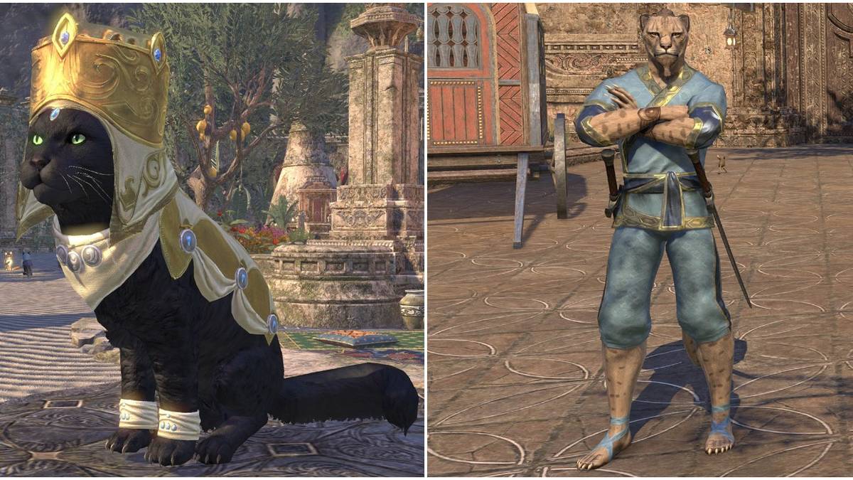 Different Kinds Of Khajiit In TES, image size:1200x675